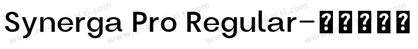 Synerga Pro Regular字体转换